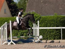 img-98711-576